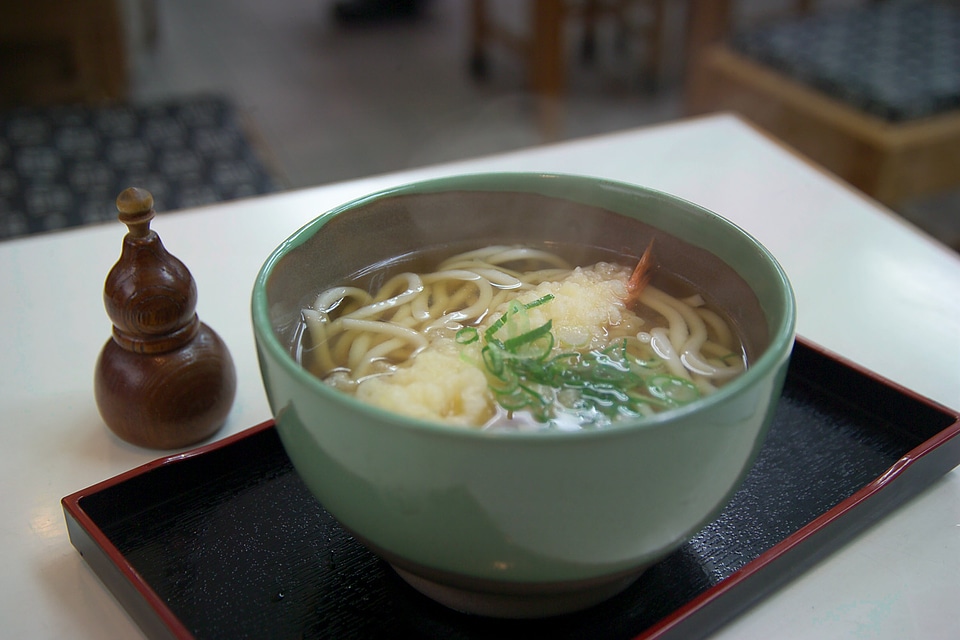 Japanese Food Udon - Japanese Noodle