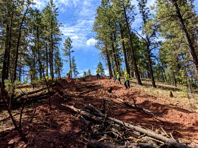 Mt. Taylor RD Road Restoration