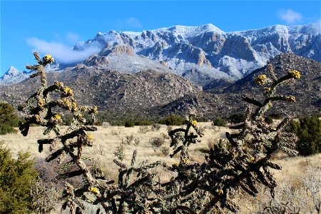 11 19 Sandia Peak West 10