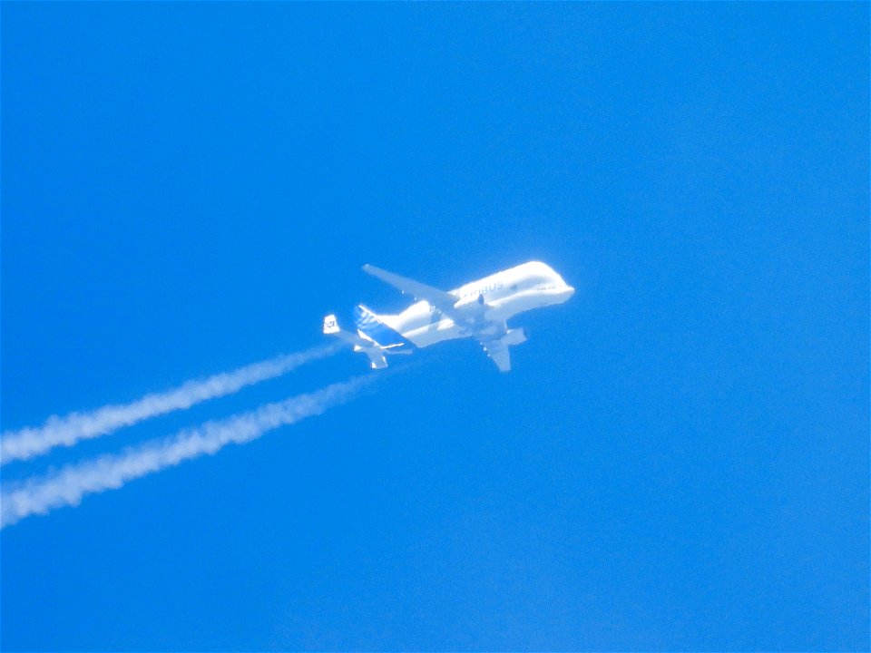Airbus BelugaXL