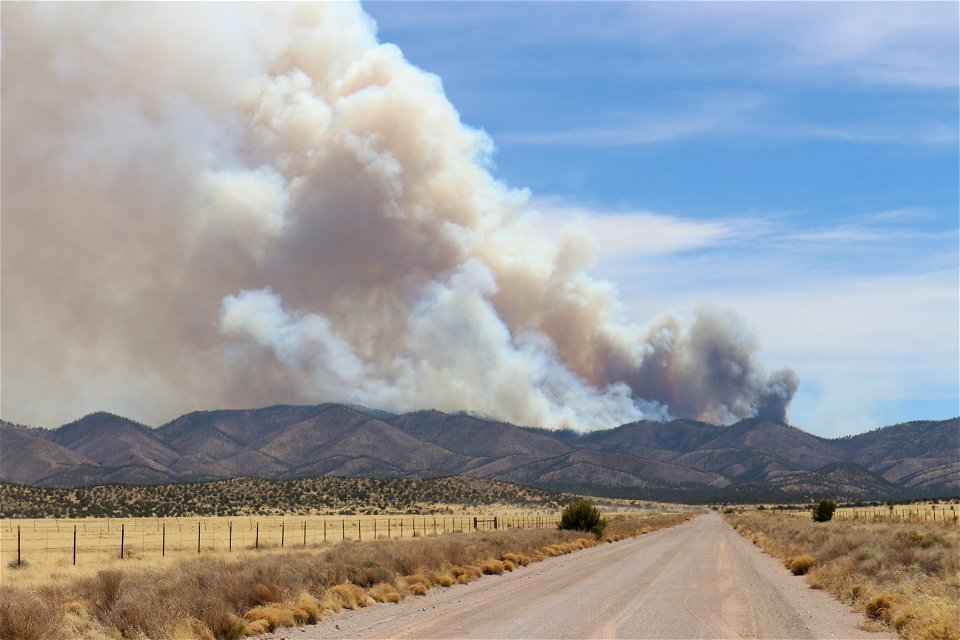 Magdalena RD Bear Trap Fire 2022