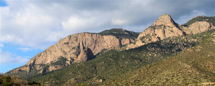 Sandia Ranger District - North Sandia Crest