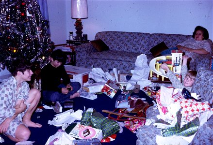 Family Slides (348)