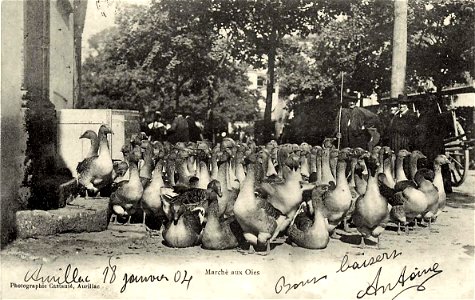 Aurillac.Marché aux Oies