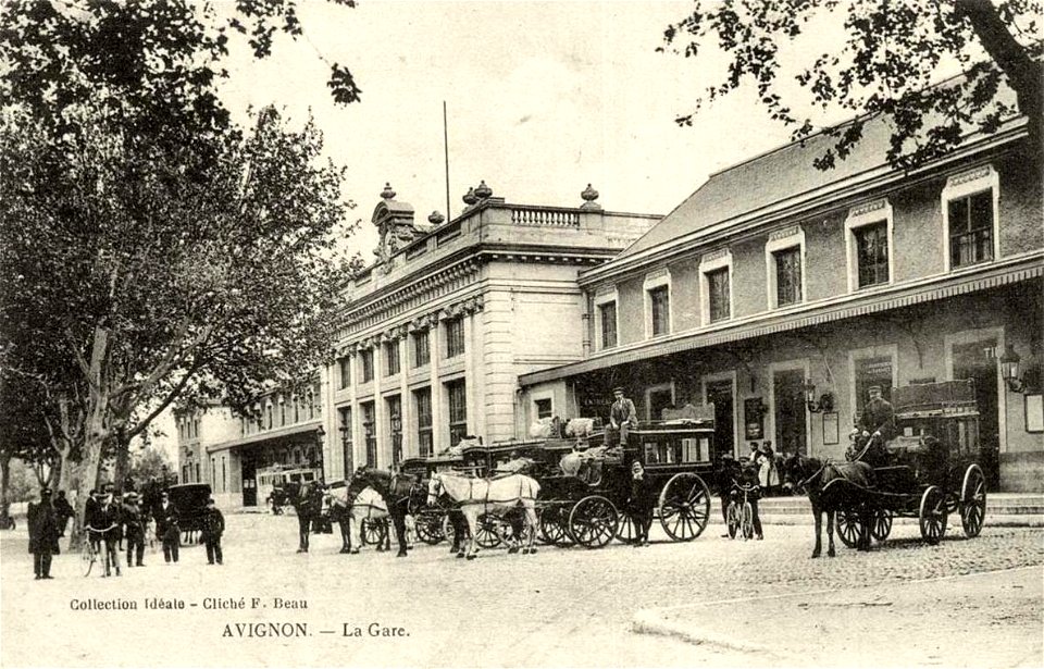 Avignon.Gare, calèches et chevaux