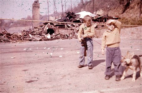 Family Slides (238)