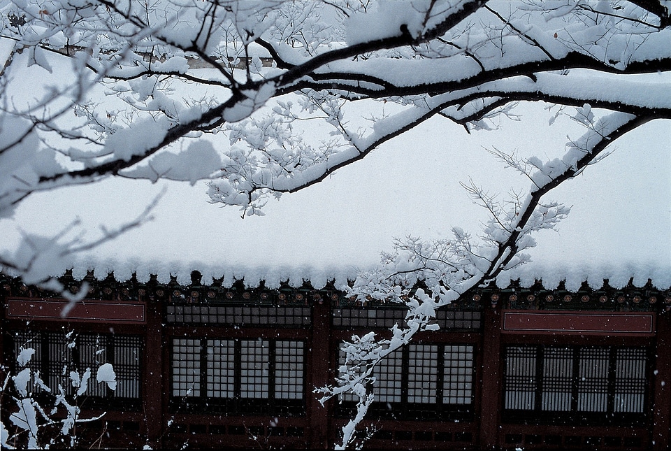 Temple in Korea during snowfall