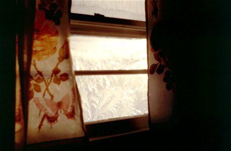 Family Slides (254)