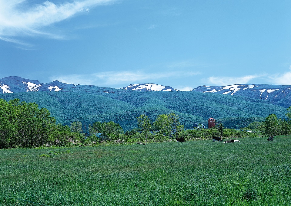 Idyllic summer landscape with traditional farm house