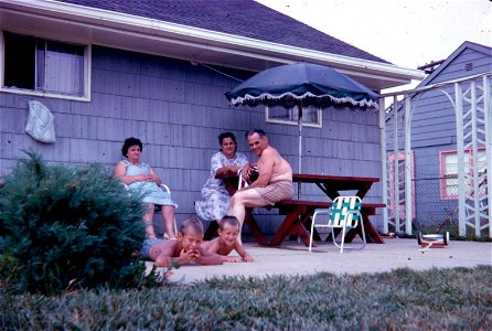 Family Slides (311)
