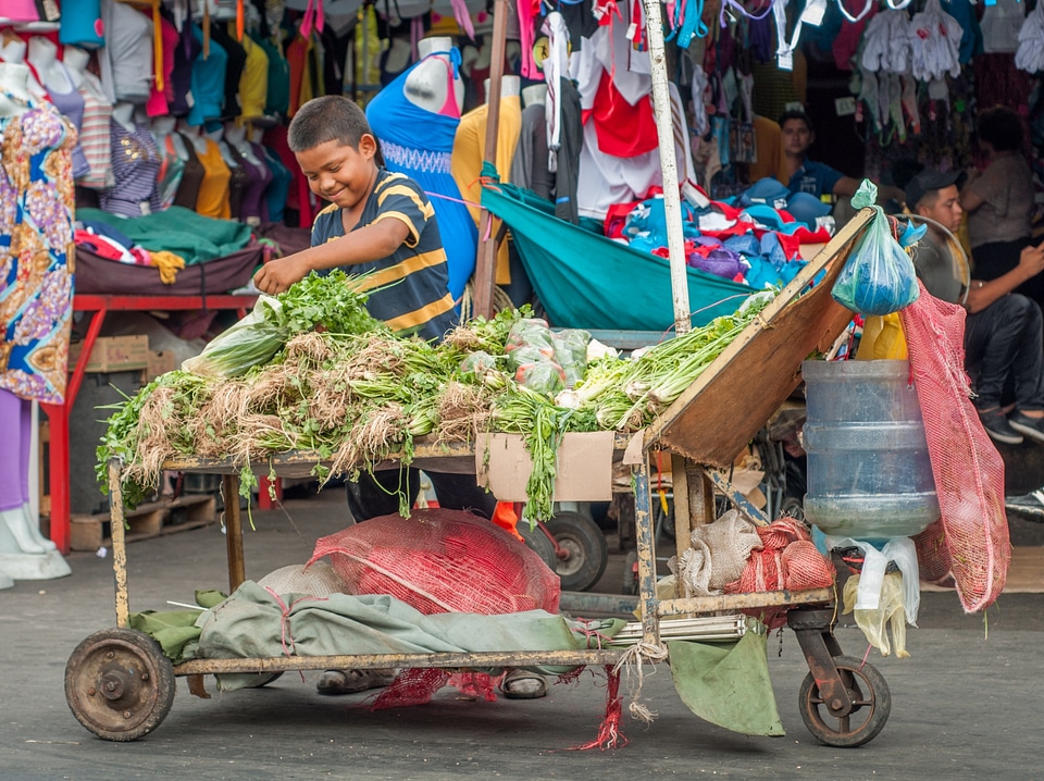 Child working selling vegetables