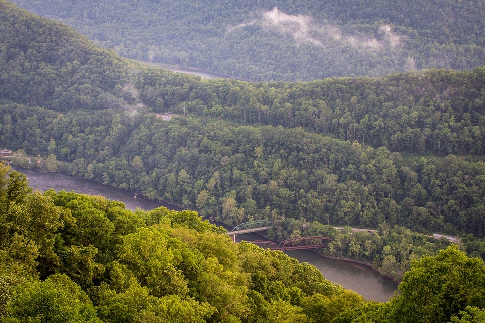 Stretchers Neck from Turkey Spur