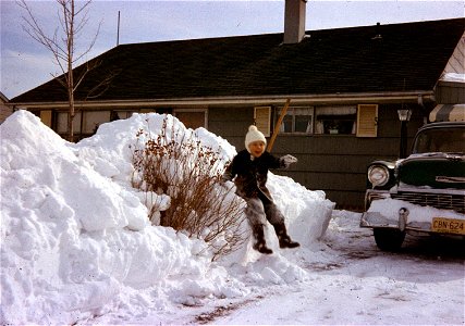 Family Slides (53)