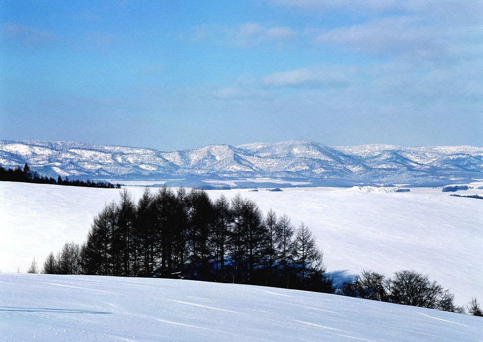 Beautiful winter landscape with snow covered trees