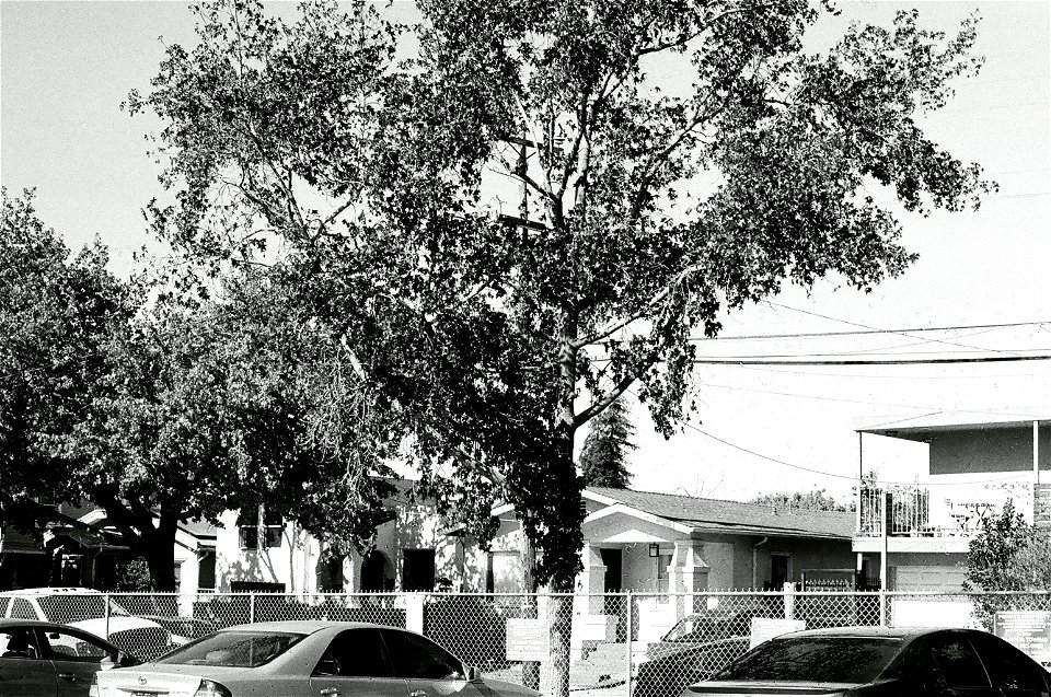 40190021-edited
