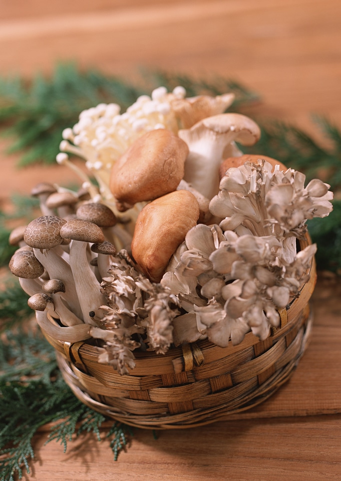 Variety of Mushrooms in a basket, closeup and overhead