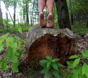 Timi's Feet