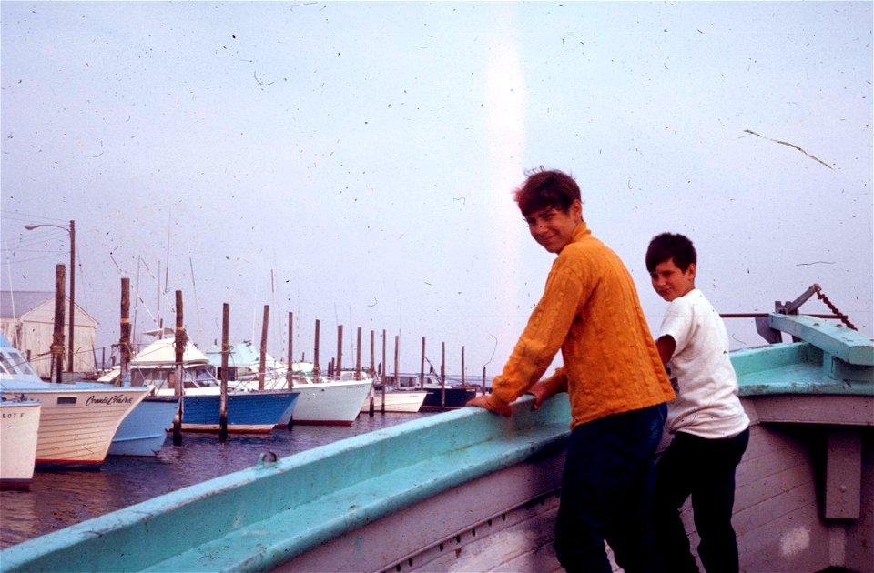 Family Slides (329)