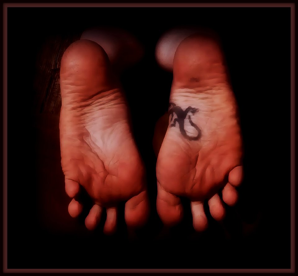 Timi's Feet