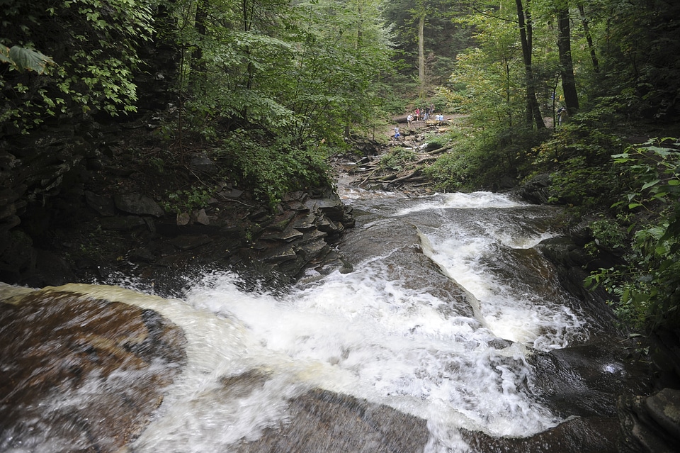 Ricketts Glen State Park