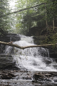 Ricketts Glen State Park
