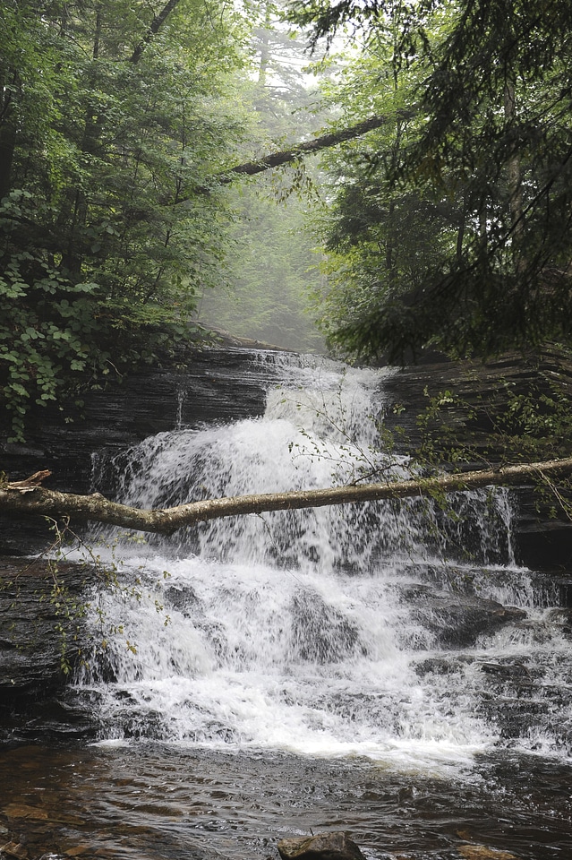 Ricketts Glen State Park