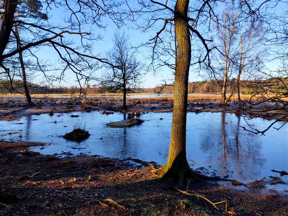 Leersumsche veld