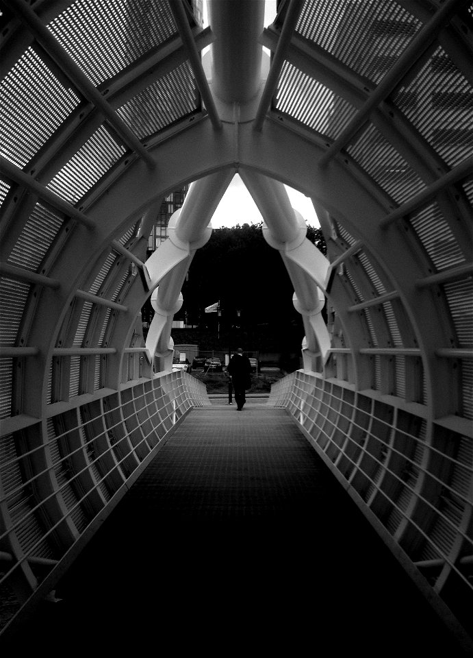 Bridge