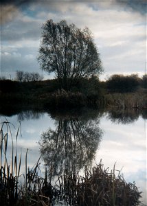 Reflection - Bidston Moss