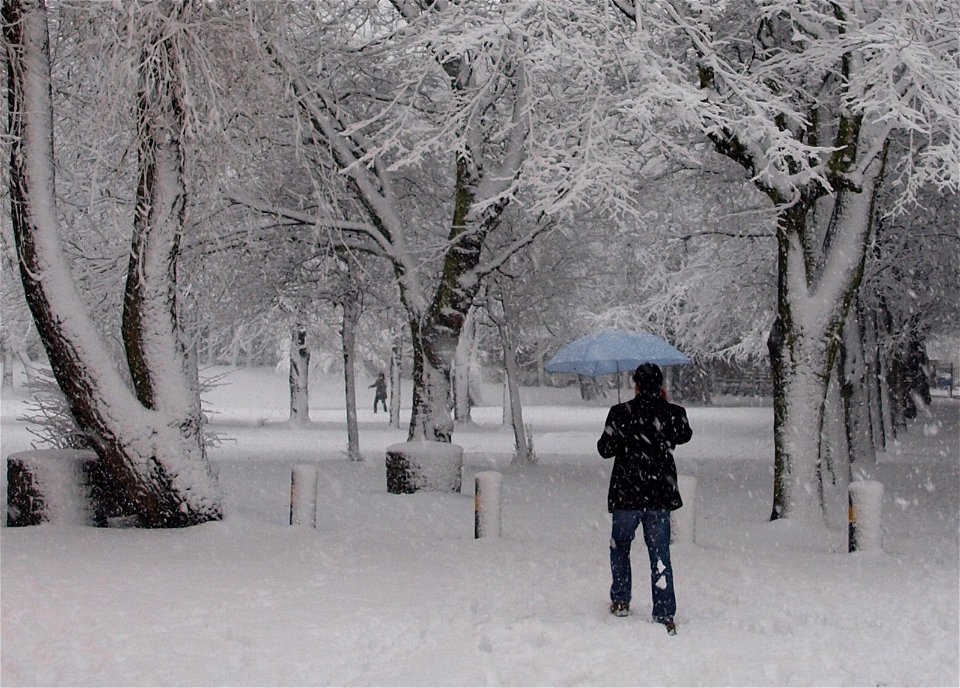 ... another snow picture