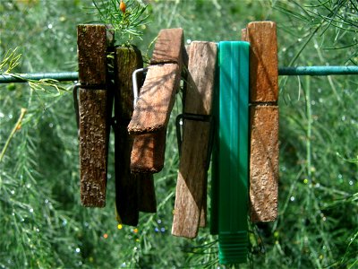 Clothes Pegs