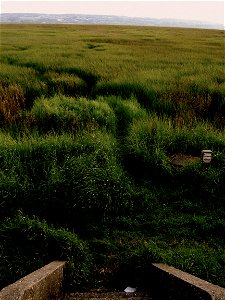 Parkgate Marsh - Looking out to Wales