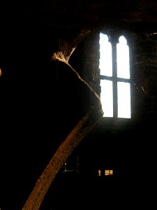 Ruin - Birkenhead Priory