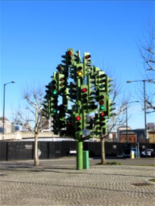 Traffic Light Tree photo
