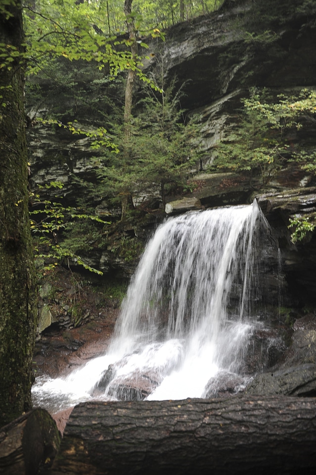 Ricketts Glen State Park