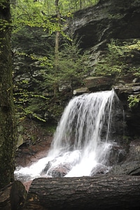 Ricketts Glen State Park