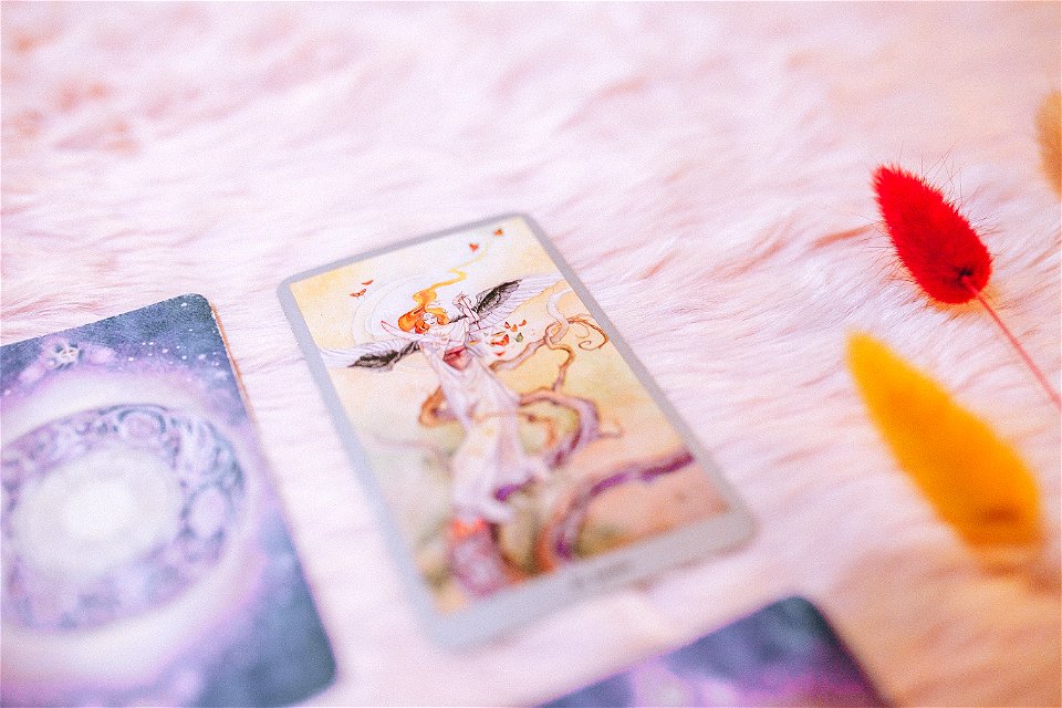 tarot (86 of 137)