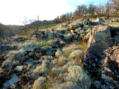 Vallée de l'Argenton