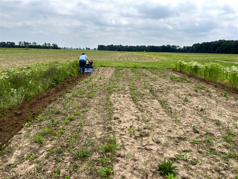 HT2C-rototilling