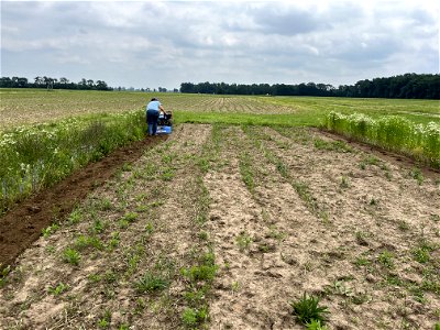 HT2C-rototilling