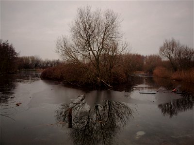 Gilroy Pond photo