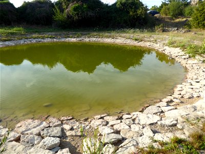 Lavogne, Le Caylar