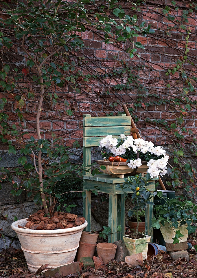 chair with white flower in garden