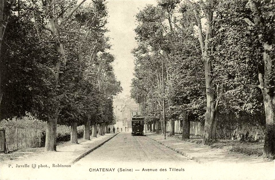 Châtenay-Malabry.Avenue des Tilleuls en 1915