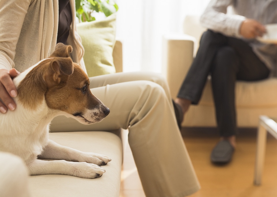 Family and dog in living room
