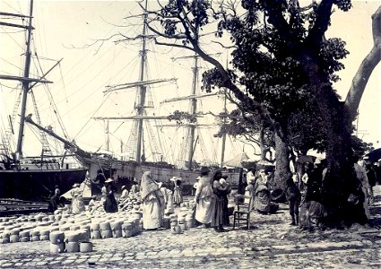 Pointe-à-Pitre.Charghement d'un bateau en 1900