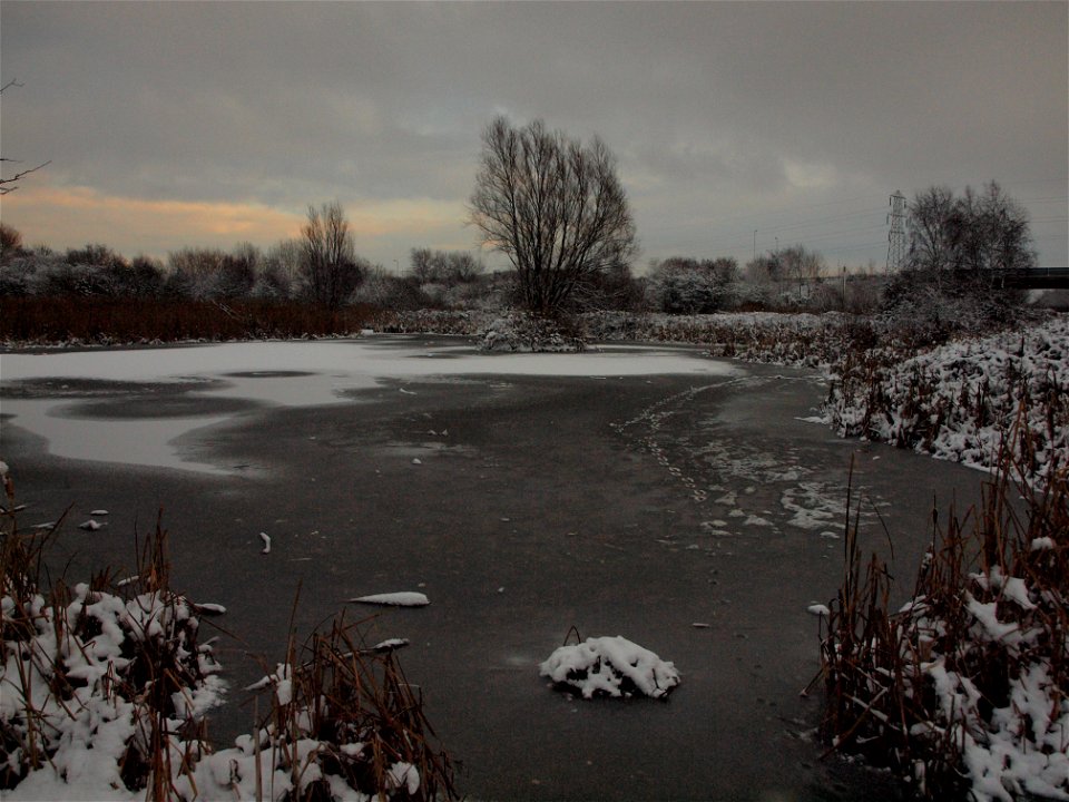 Bidston Moss photo