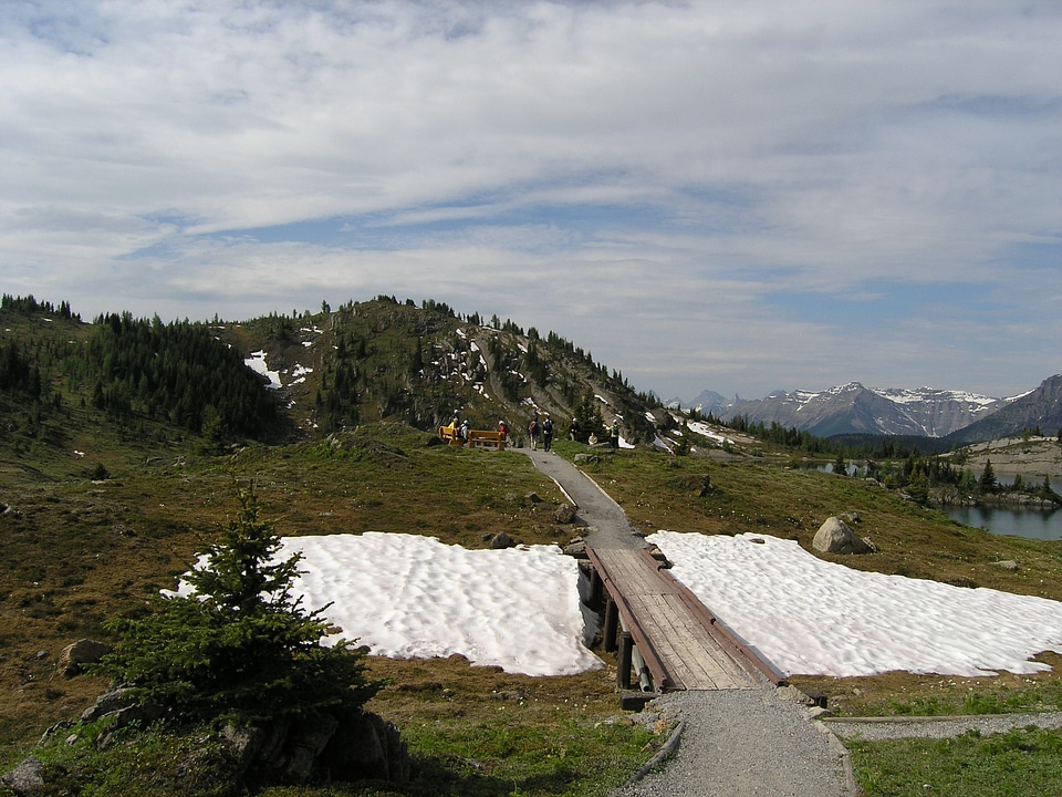 Sunshine Meadows near Banff