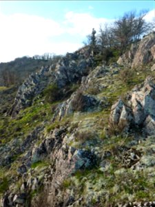 Vallée de l'Argenton