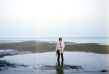 01_146